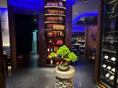 -映水芙蓉(上海万象城店)