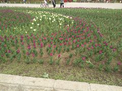 -长春公园(普阳街道)