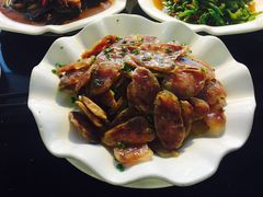 -云中小雅