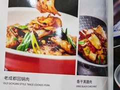-大鸭梨烤鸭店(金顶街店)