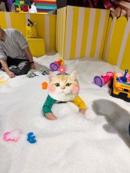 -宝燕乐园(闵行旗舰店)