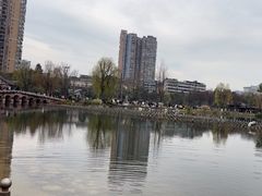 -北湖公园