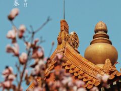 -东华门大街小区