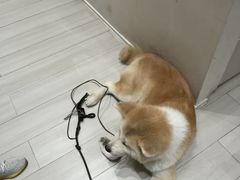 -YCHL Studios健身工作室(市二宫店)