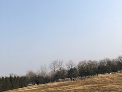 -汉长安城未央宫国家考古遗址公园