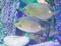 -沈阳海洋探索中心