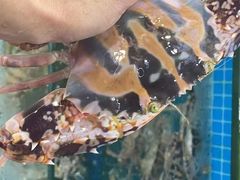 -三亚相缘海鲜·烧烤·糟粕醋(三亚湾店)