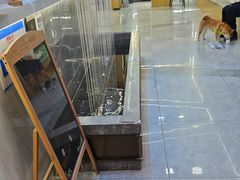 -pd派德宠物中心医院24H急重症·眼科中心·血液透析中心(嵩山北路店)