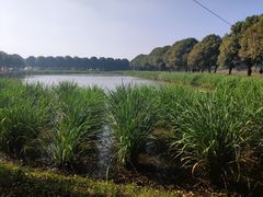 -上膳源有机农场