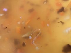 -杨家吊炉饼(沈阳总店)
