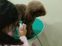 -佳雯宠物医院(四明中路分院)