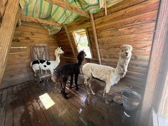 -祥源·阜阳生态乐园