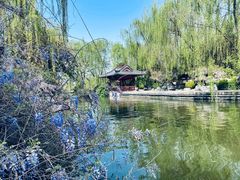 -济南大明湖景区
