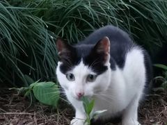 -杭州六谷生态休闲农庄有限公司