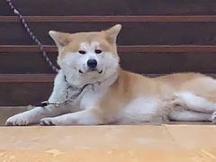 -YCHL Studios健身工作室(市二宫店)