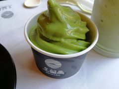 -雪绿茶博物馆