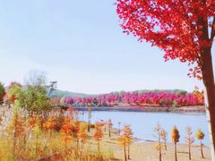 -南京枫彩漫城
