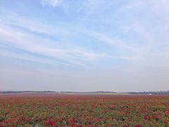 -南京枫彩漫城