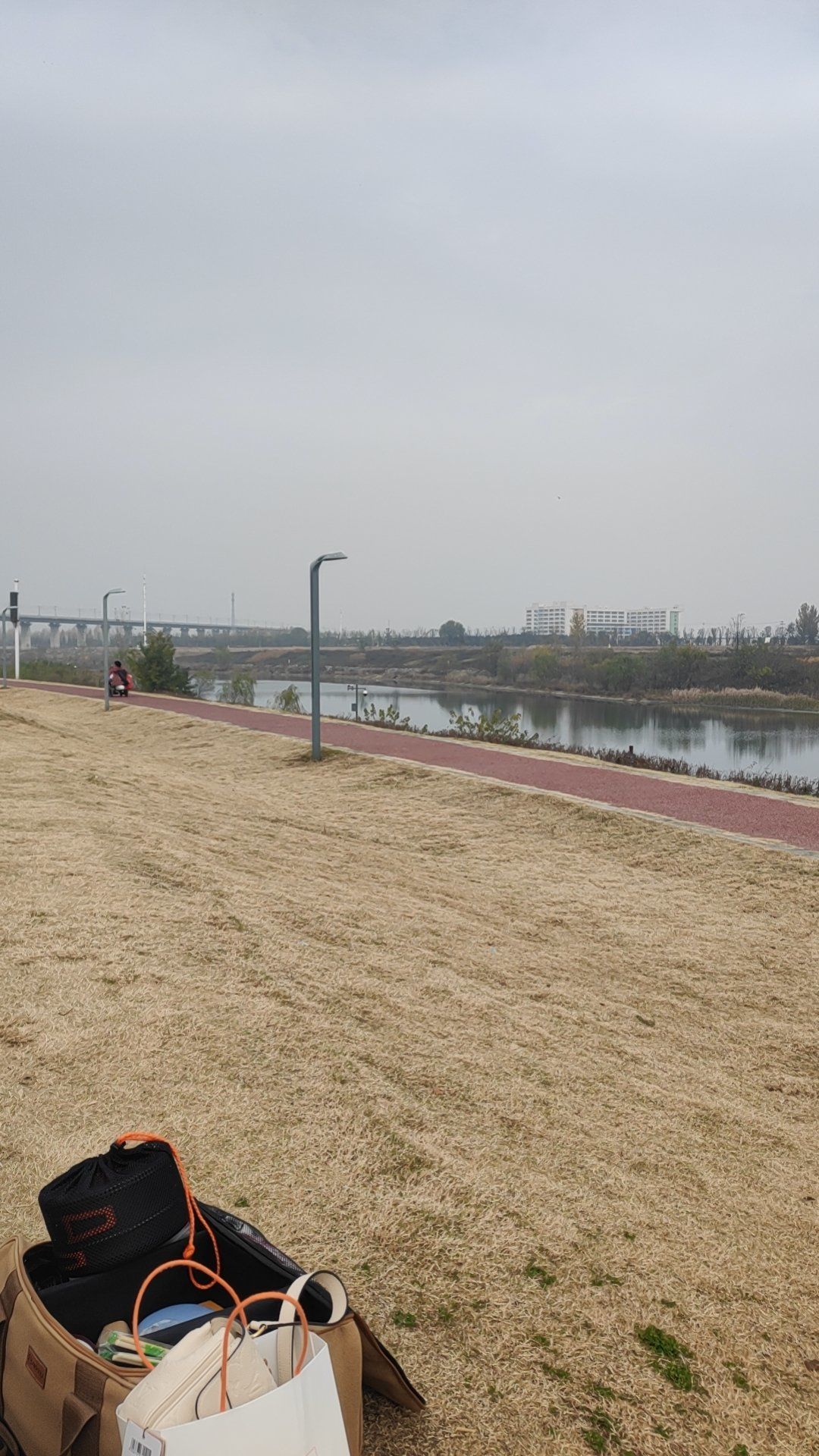 沣河公园