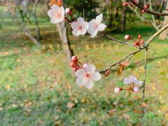 -蜀冈西峰生态公园