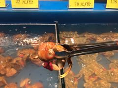 -潮庭·大连海鲜·炭火烧烤·扇贝王(大连店)