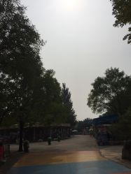 -大望京儿童游乐场