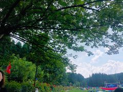 -武陵山森林公园