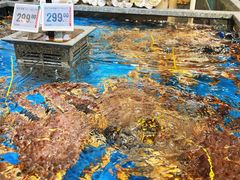 -盒马鲜生(岭南新世界店)