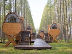 -黄海国家森林公园