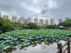 -龙头寺公园