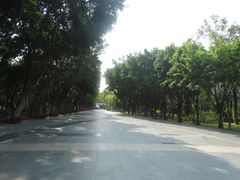 -深圳国际园林花卉博览园