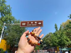 -成都市文殊院