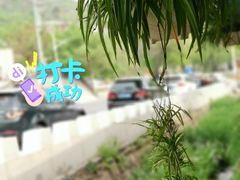 -京北渔家傲