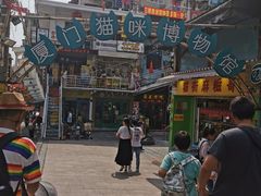 -猫咪博物馆(顶澳仔猫街店)