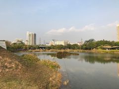 -福田红树林生态公园
