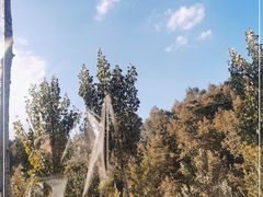 -牛背梁国家森林公园