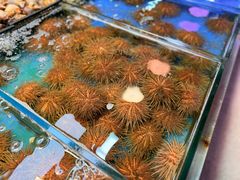 -桃源市场(解放路店)