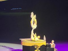 -水秀国际大剧院