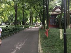 -温江公园