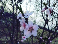 -汉长安城未央宫国家考古遗址公园