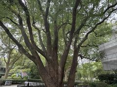 -徐家汇源景区-衡山公园