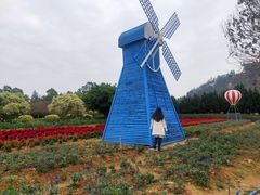-南沙蒲洲花园