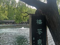 -百脉泉景区
