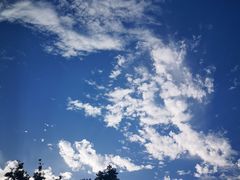 -牛背梁国家森林公园