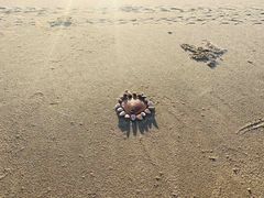 -六鳌翡翠湾滨海度假景区