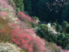 -新安江山水画廊风景区