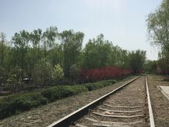 -永定河休闲森林公园