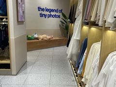 -天真蓝照相馆(五角场百联又一城店)
