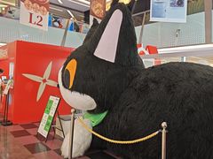 -福田卓悦INTOWN购物中心