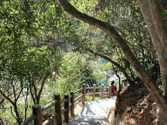 -梧桐山风景名胜区